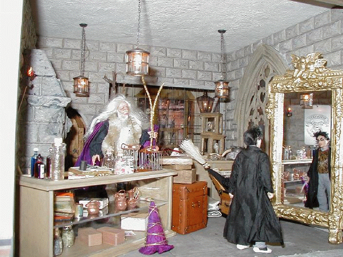Harry Potter room